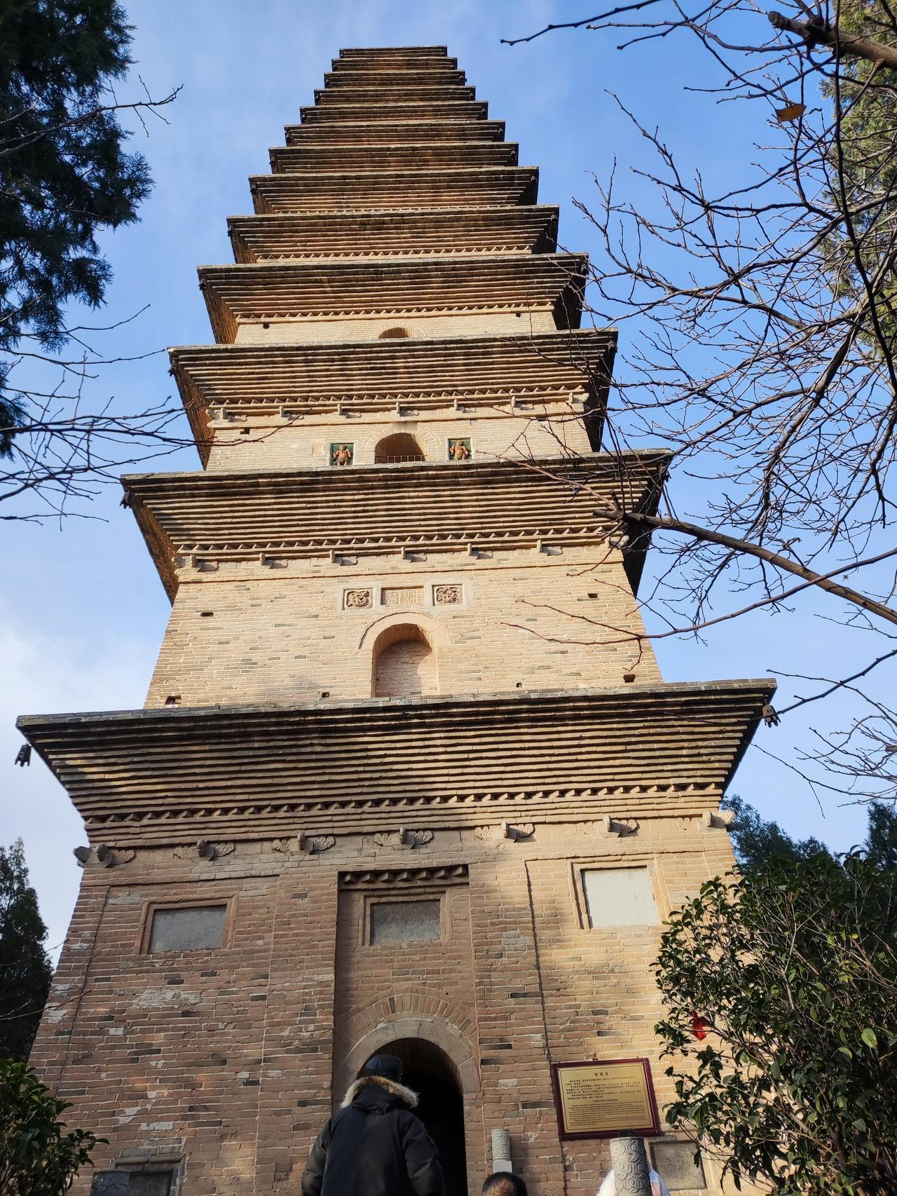 《道德经》里藏着中国人最顶级的生存密码：“生而不有，为而不恃”。短短八字，道破了