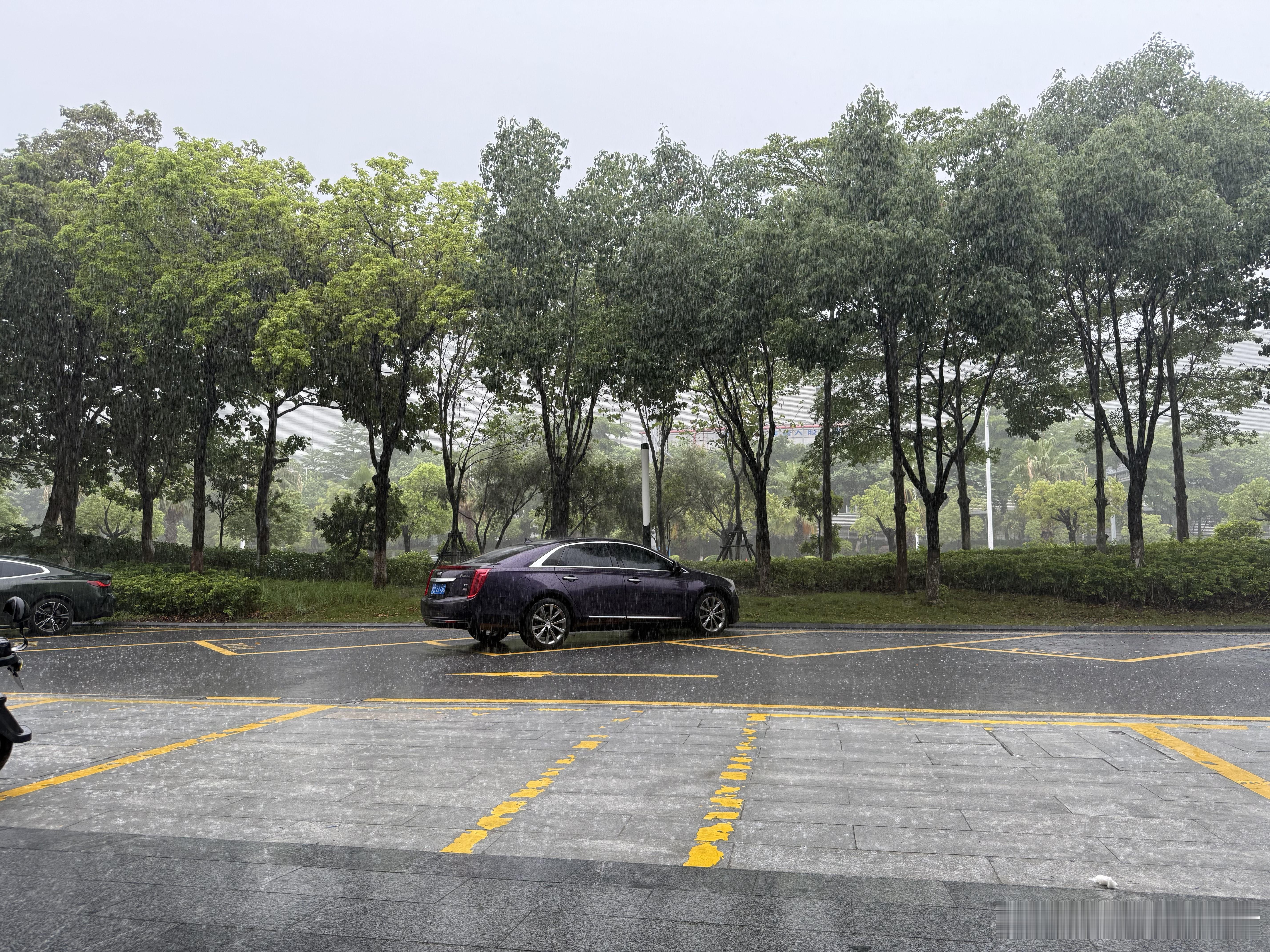 厦门这几天又到了下雨🌧️的时节了，真凉快[大笑][大笑]​​​