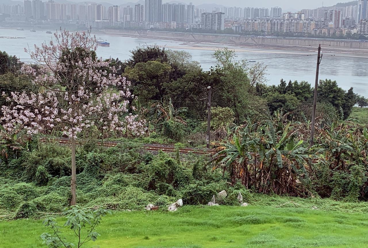 观察发现：单位里只要你实心办事；积极响应领导的号召；不断用高标准要求自己；