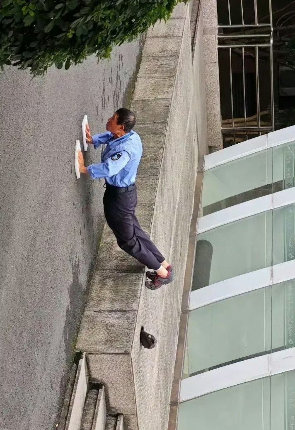 这拍照角度真刁钻，第一眼吓我一跳！