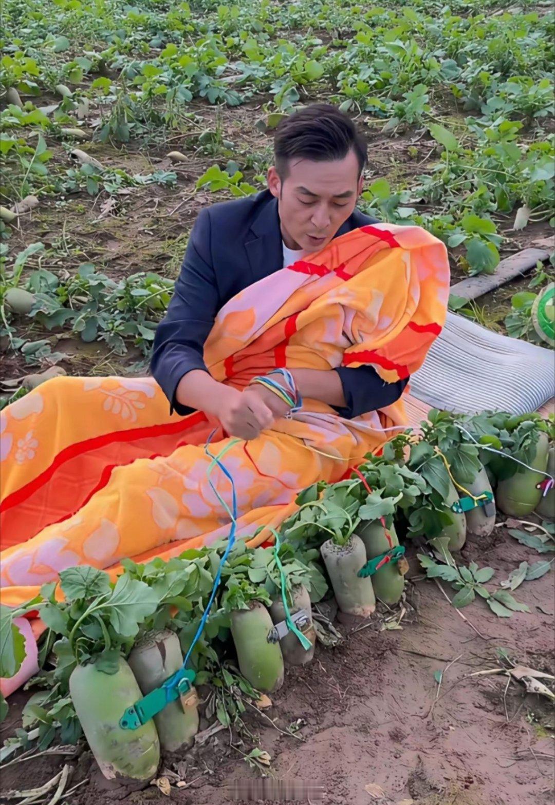 快过年了，生怕地里萝卜被偷走了，只能用这个方法了。