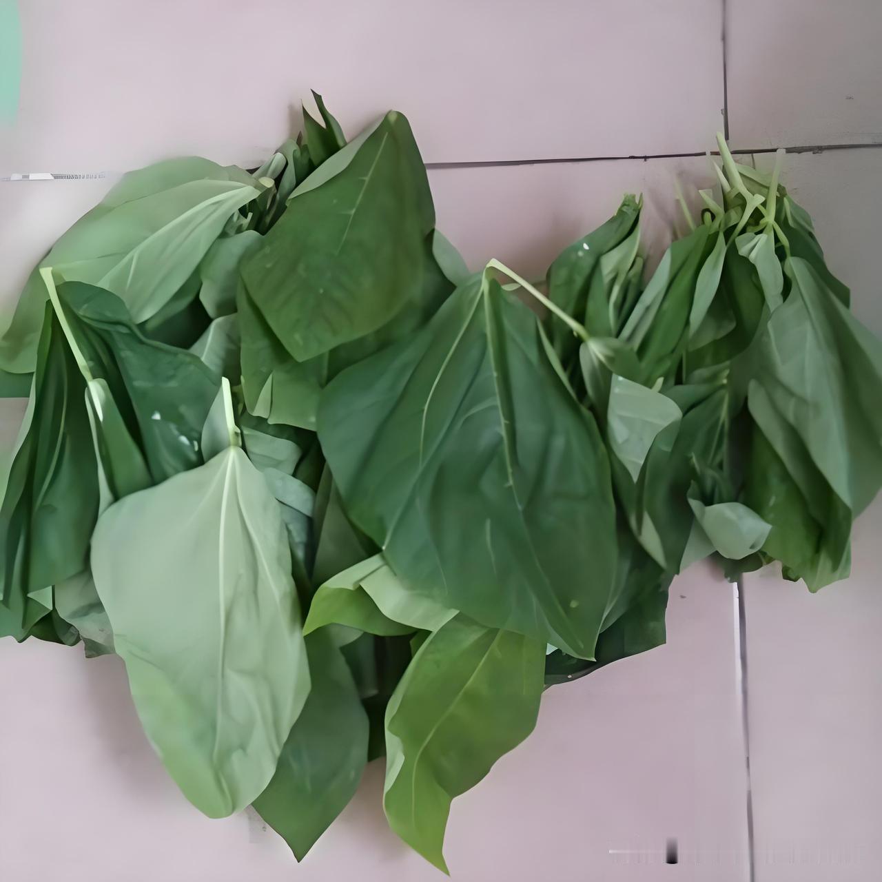 豆角叶千万别扔，有这么个妙招，疏下来的叶子不浪费闺女嚷嚷就馋豆角，我立马往菜