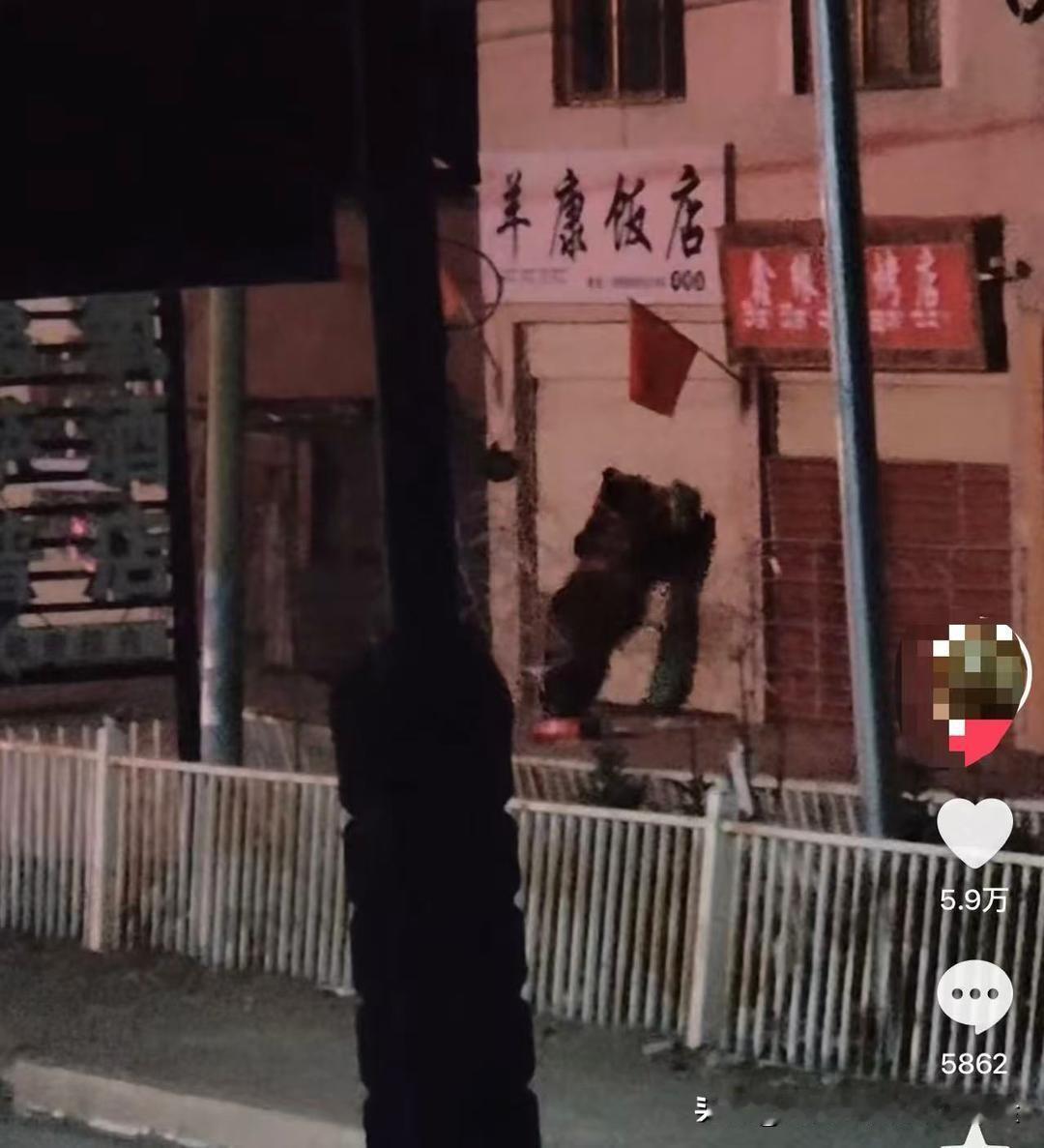 春节期间，西藏那曲比如县羊秀乡一家饭店发生了一件十分有趣的意外：两只藏马熊趁着店