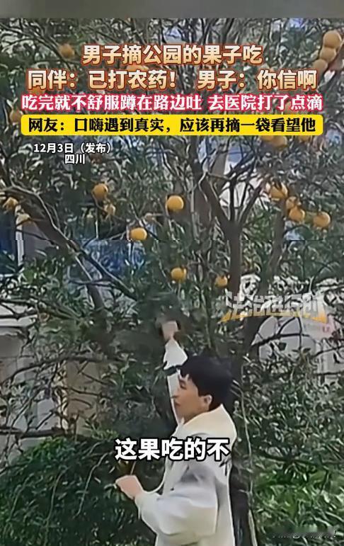 “胆子真大！”四川，一男子和朋友逛公园时，见树上的果子已经成熟，就摘了一个吃[尬