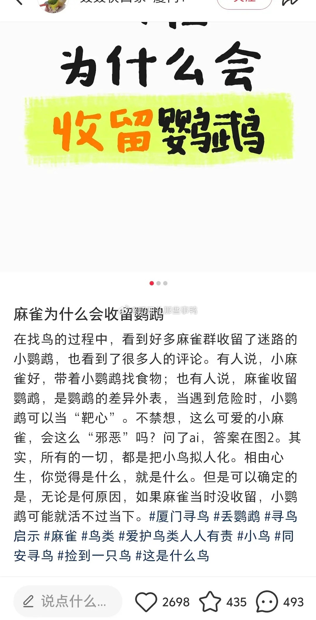 原来麻雀会收留别的小鸟~