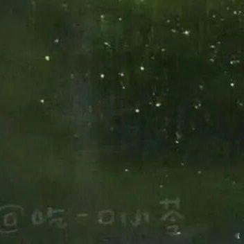 🍥#‍‎种植#🍥#‍种植方法#李子完整种植方法（家庭盆栽/果园通用）一、选址与育苗1.环境要求-