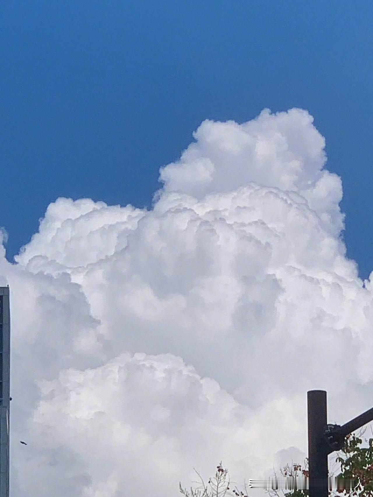 现在的女孩找对象可真大胆啊一个在瑞幸咖啡打工的女孩子,安徽农村的,家里有个弟弟