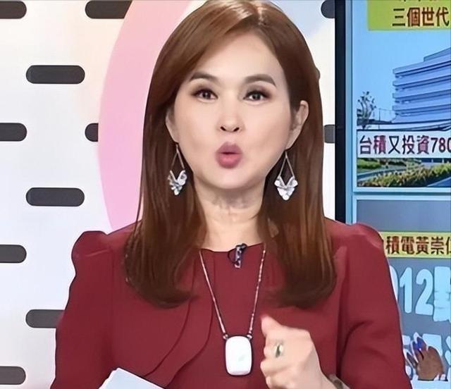 一个台湾女主持人从大连回来之后，在节目里咆哮：我不是说大陆比台湾好，但是拜托，你