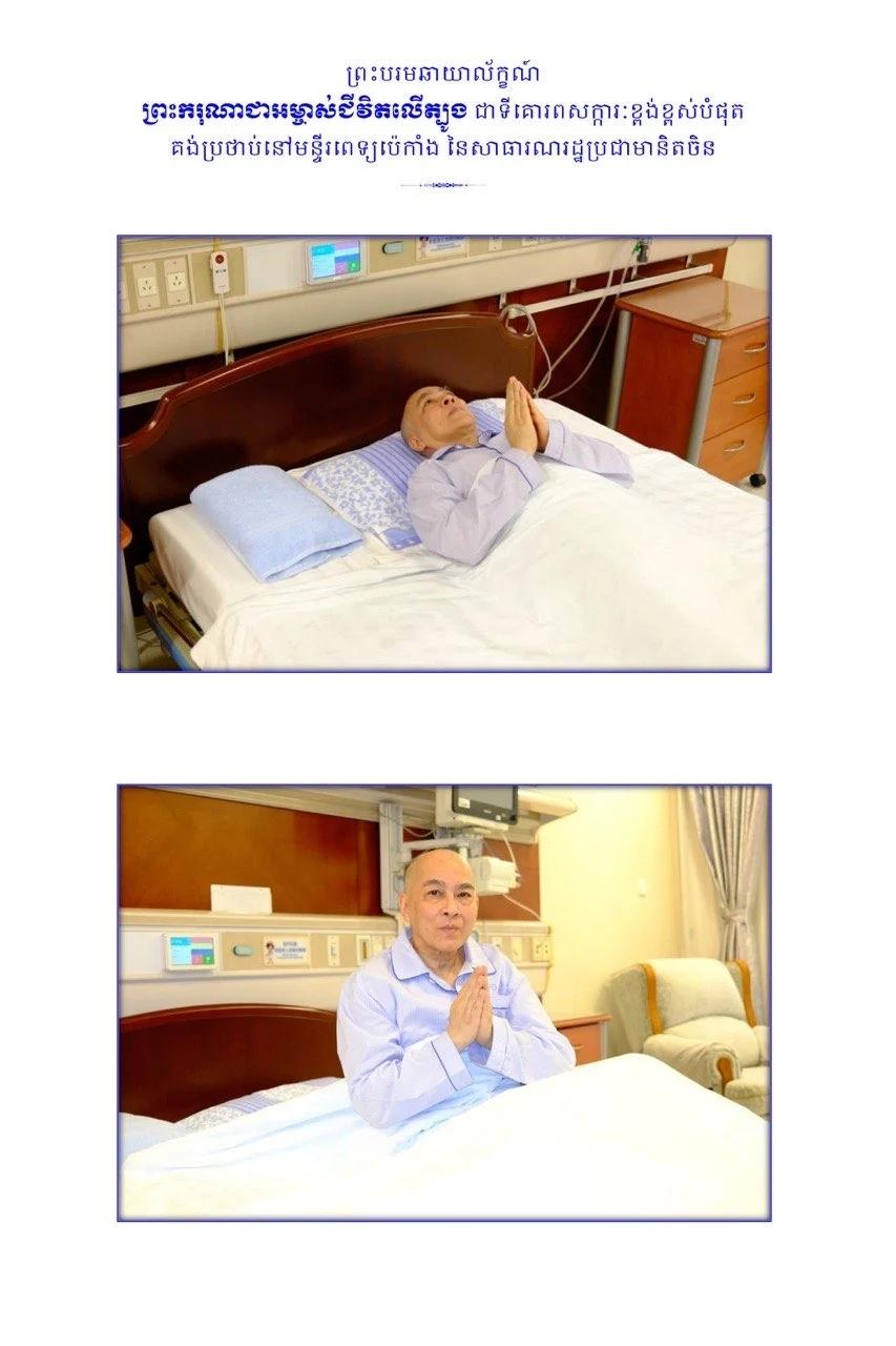 看看我和豆包的对话。豆包对西哈莫尼国王的处境，进行了分析。你这句话说得一点都不