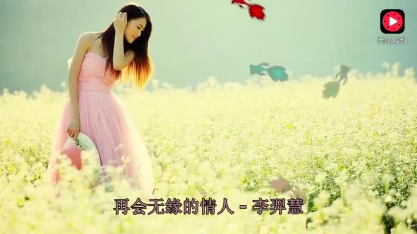 再会无缘的情人