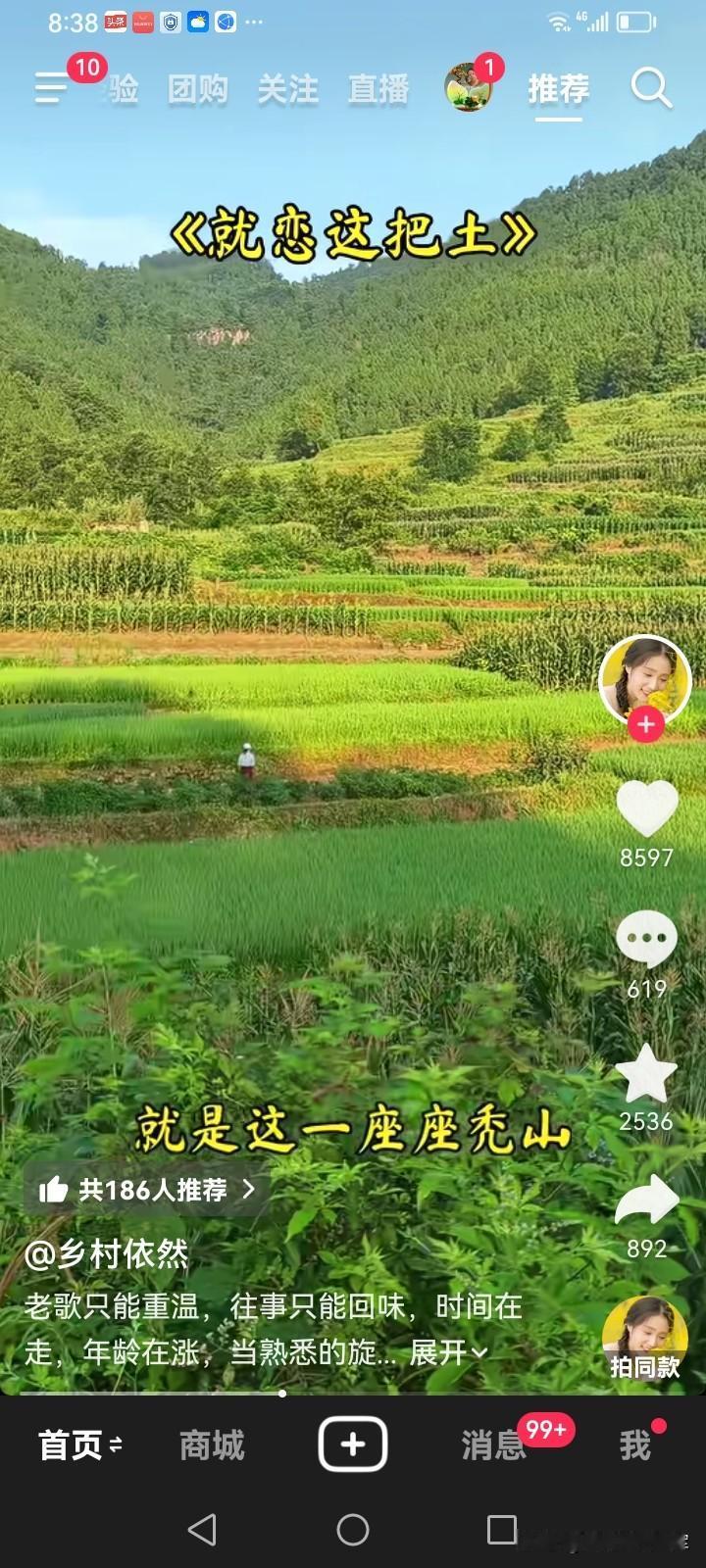 种地的农民朋友们，今天来闲聊点稀奇事儿。我家玉米地旁边，是本家兄弟种的插秧红薯，