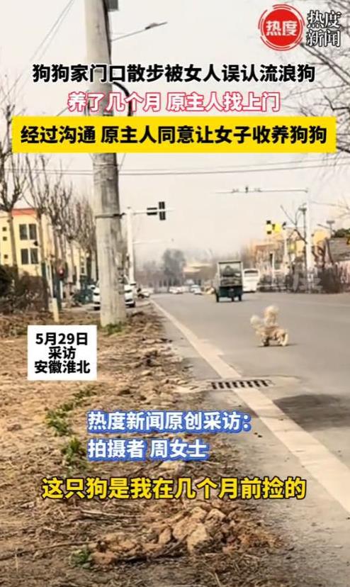“太尴尬了！”2025年，安徽淮北，一小狗在家门口散步被一女子误认为流浪狗，就捡