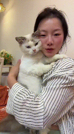 你瞅瞅这小猫咪，盼了一天，终于把自家小姐姐盼回来了！刚开门就扑到怀里，俩小爪子死