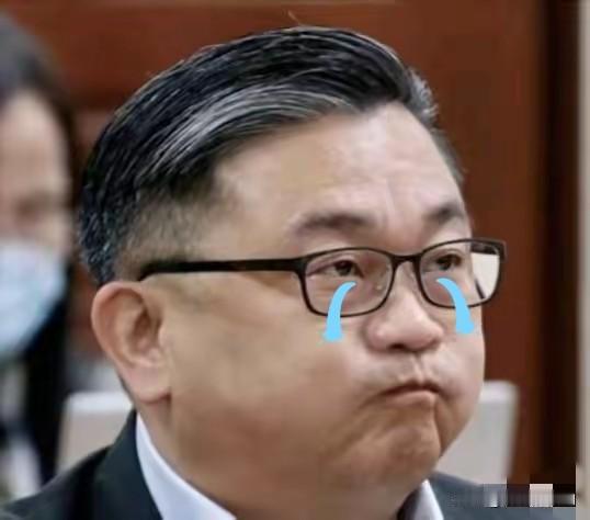 正义或许会迟到，但一定不会缺席！“台独”顽固分子王定宇、萧美琴之流该吃不下、睡