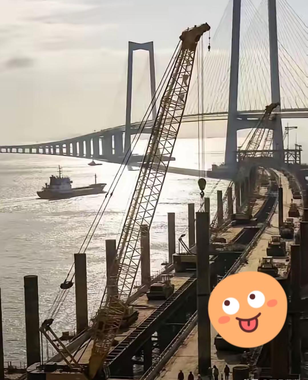 真是有意思这一招简直是“骑脸输出”。3月4号，那个16米大的“厦金号”盾