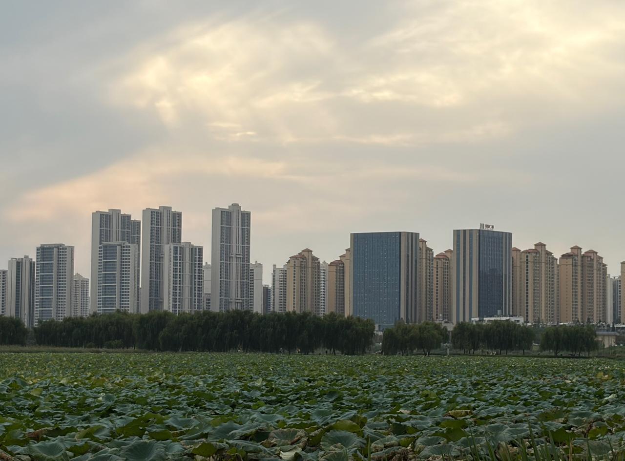 李老师教了二十多年书。昨天她跟我说，已经把职称材料锁进抽屉最底层，不评了。我