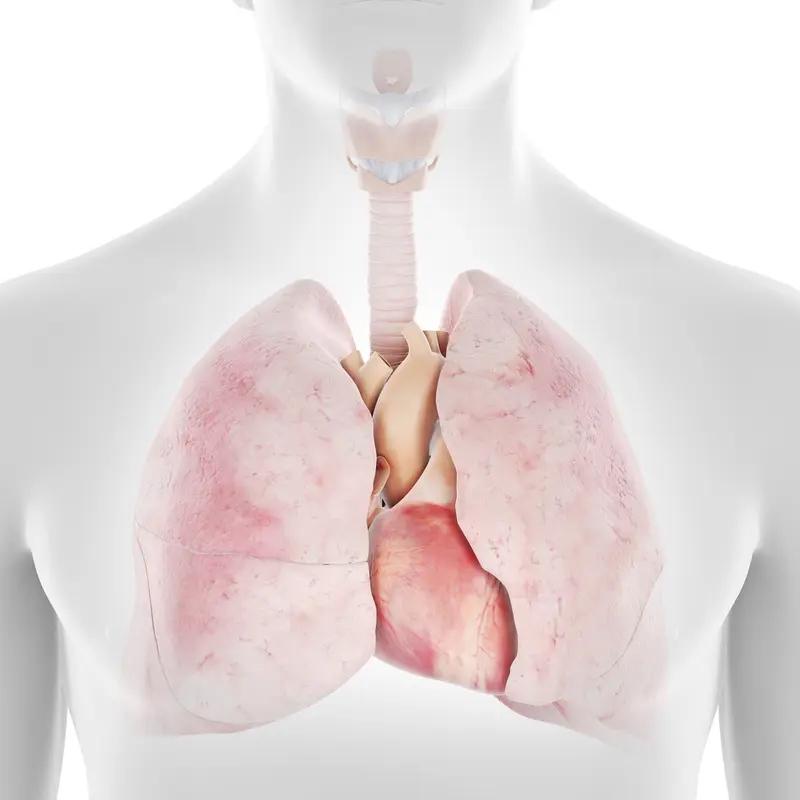 5个肺气虚“大哥级”中成药，养肺气，改善肺气不足，一文说清你是不是也这样：换