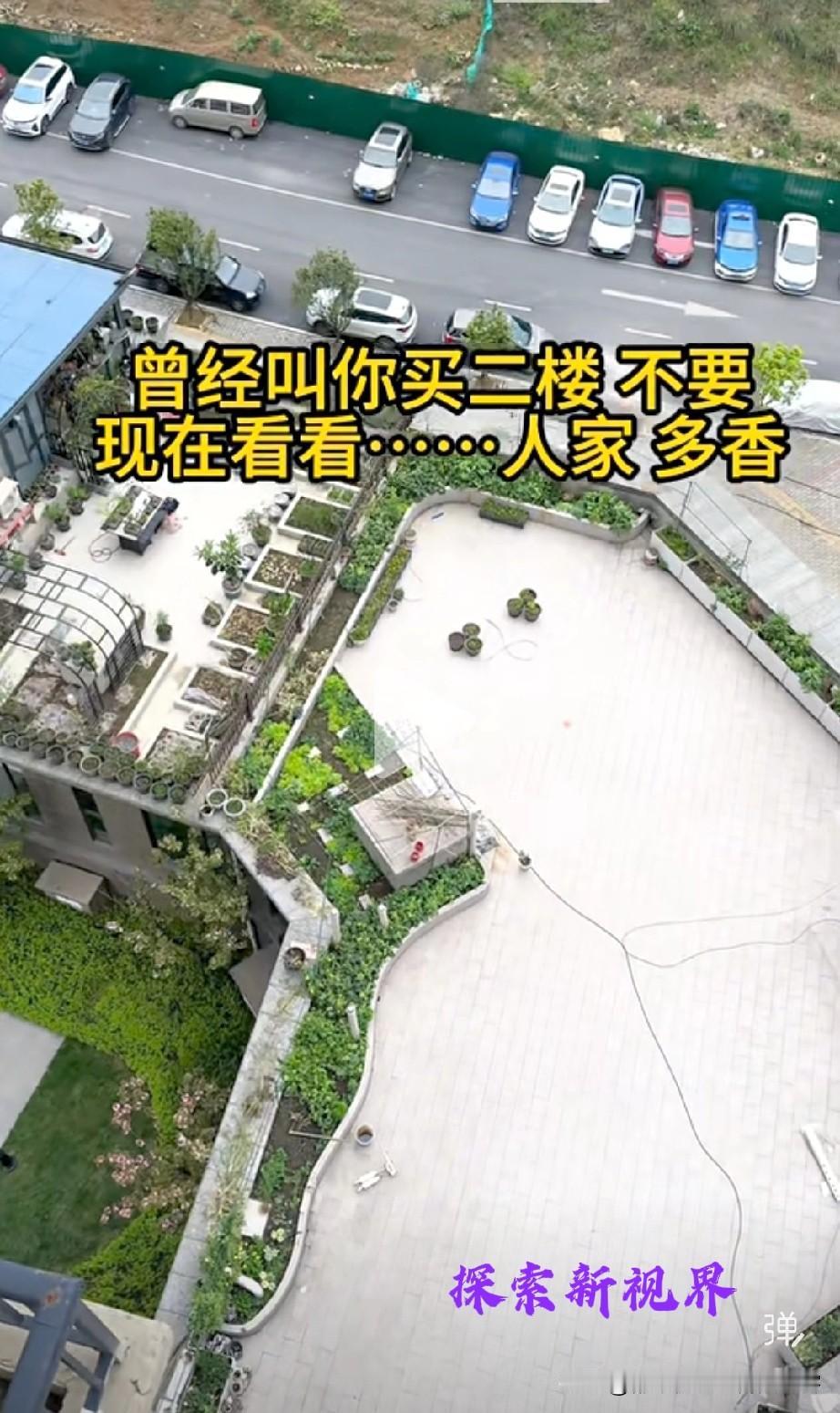 这个花园多大？曾经叫你买二楼，你不要，现在看看……（如下图所示）贵州一市民人家种
