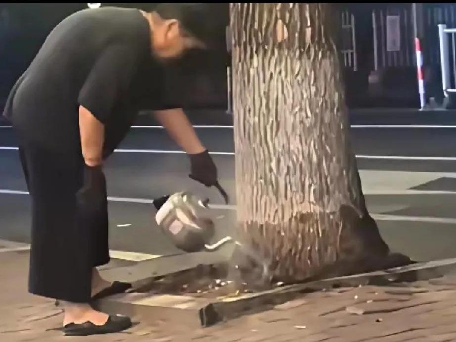 气炸了！老太用开水浇银杏树，我家柿子树的遭遇更离奇刷到个视频快气死了！有个