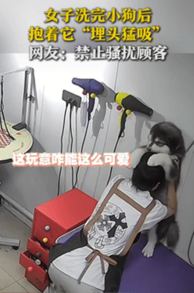 吉林一女子洗完顾客的小狗后，觉得它太可爱了，就抱着它“埋头猛吸”，原来狗主人已经
