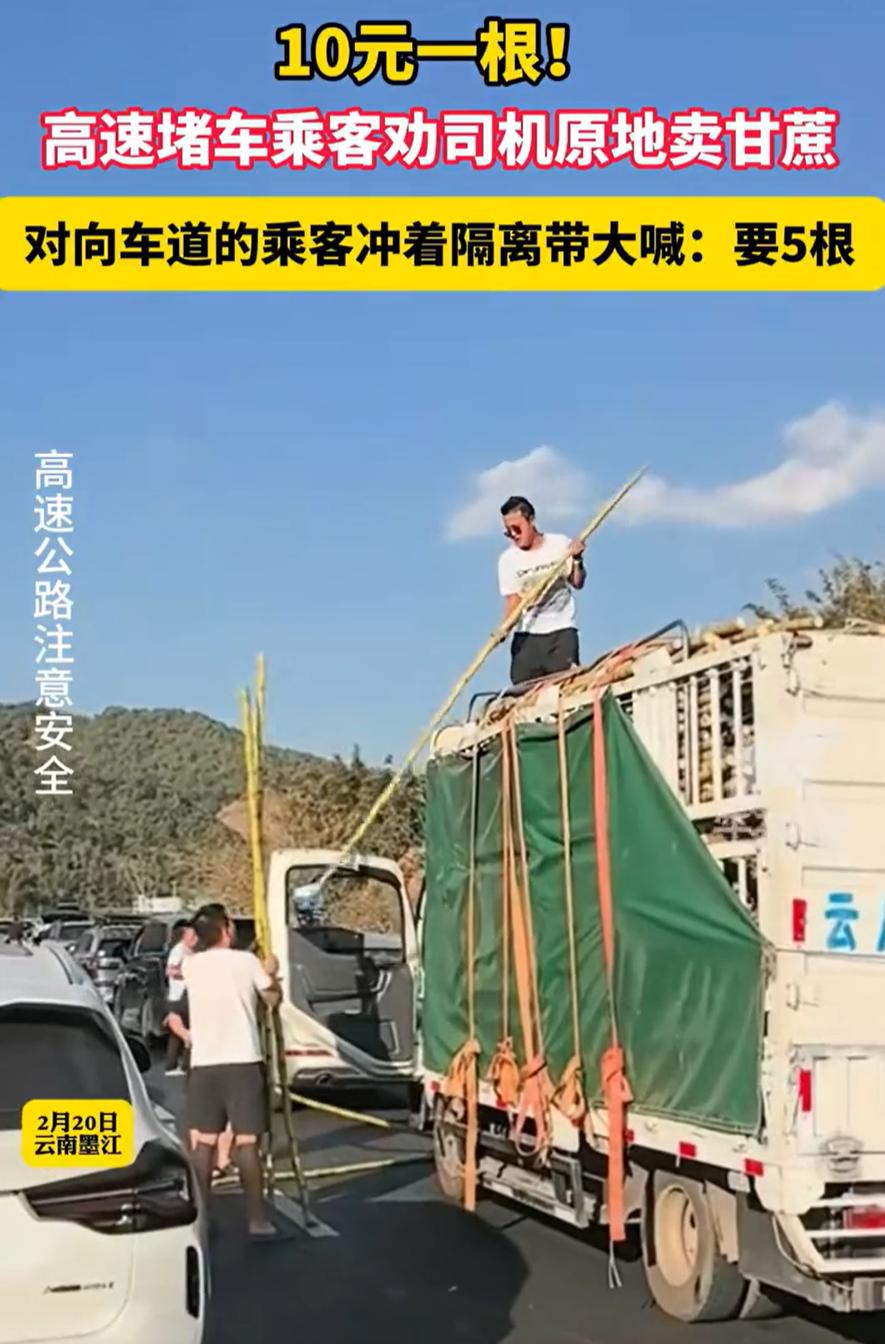 笑死了！云南墨江，一男子拉着一车的甘蔗上高速，没成想，赶上返程高峰期，直接堵在了