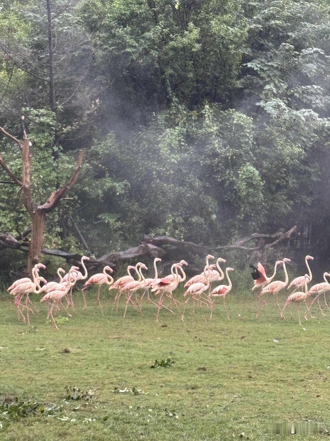 什么叫人情世故：吃透这10条，为人处世更通透1.拒绝宴请，别直说“有事去不