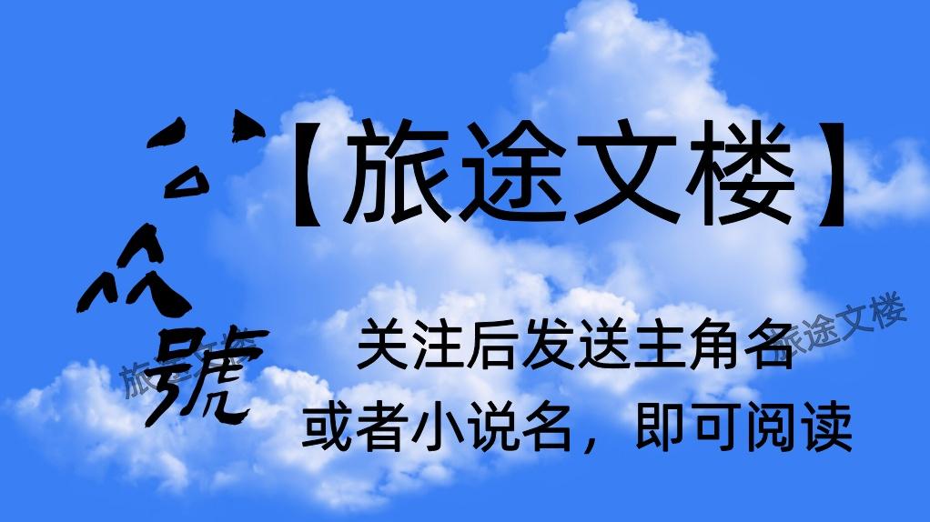 《风月与你再不相逢》许南烟付斯越全文阅读