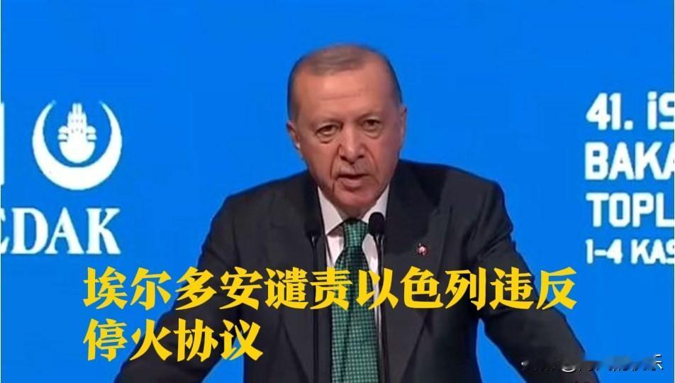 埃尔多安谴责以色列违反停火协议据外媒报道当地时间11月3日，土耳其总统