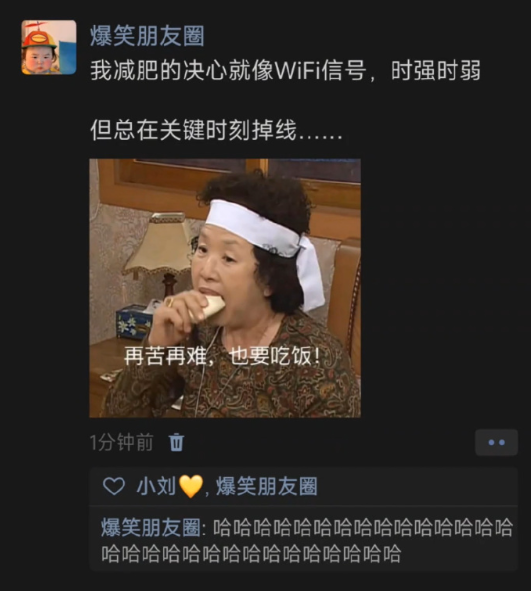 《我减肥的决心就像WiFi信号》​​​
