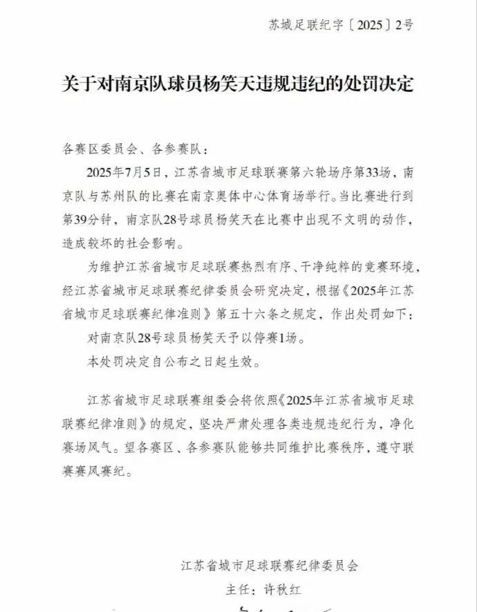 杨笑天这个犯规在职业赛场上太常见了，战术犯规的时候别说锁喉肘击了，就是飞铲、抱摔
