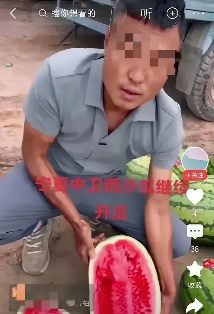 宁夏西瓜熟了，喊全国客商去拉瓜，可去年那事儿，谁心里没个疙瘩？交了定金不