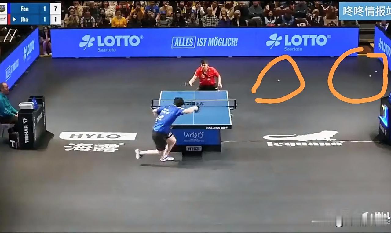 因为追樊振东，看了几场德甲，发现德甲和我们平常看的比赛，有几个细节不同。（不评