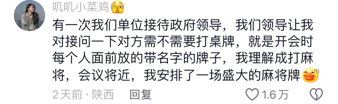 那些年捅的篓子