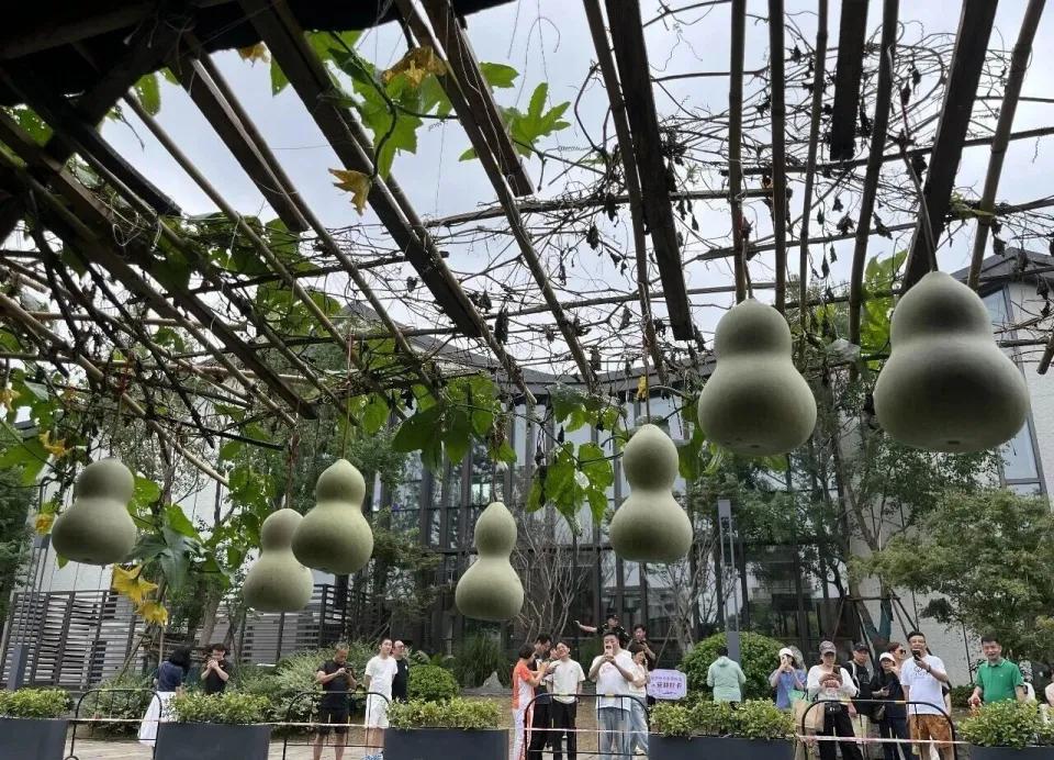 爷爷又把之前剪下的葫芦挂上了。9月11号中午，有游客拍到绍兴书圣故里“葫芦