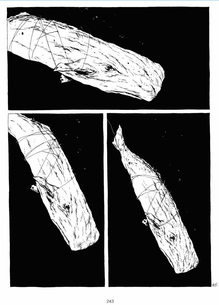《白鲸记》无比震撼的画面。