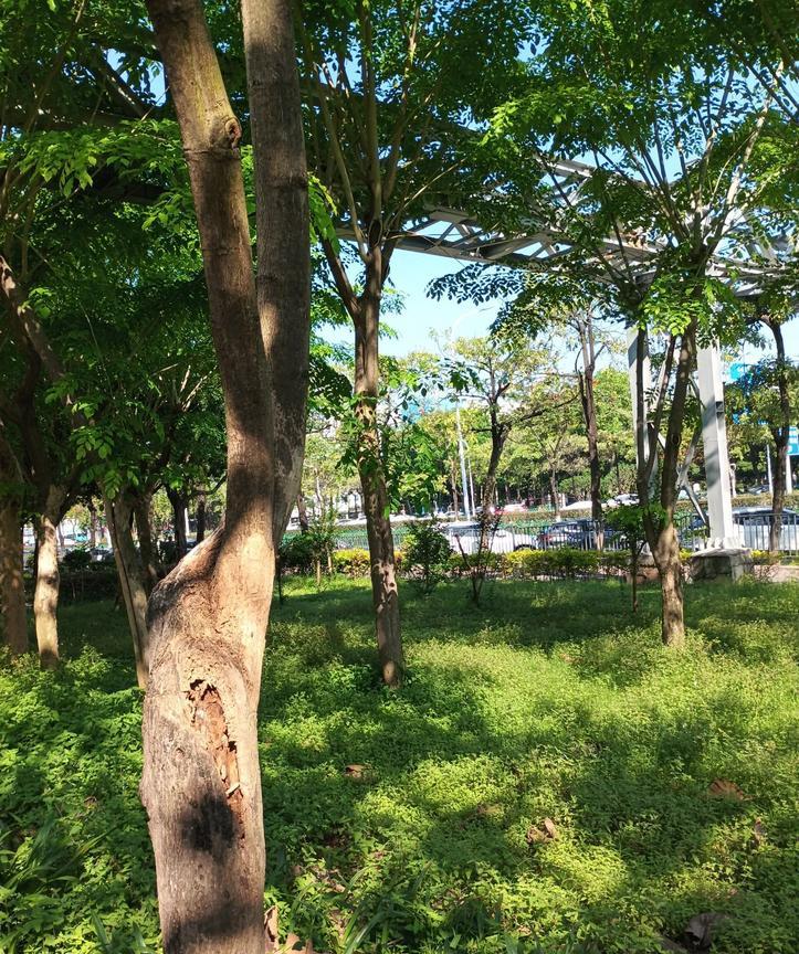 内心异常复杂的三大星座说起内心异常复杂的三大星座，双子座肯定算一个。双子座就像