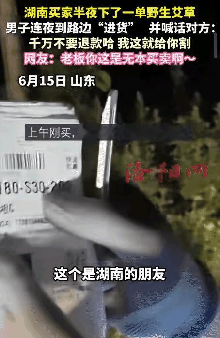 笑不活了，端午奇葩网购名场面来了！山东一位卖新鲜野生艾草的商家，半夜突然收到湖