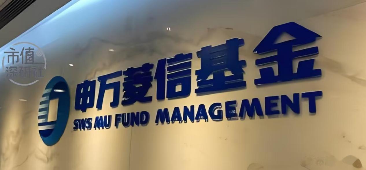 申万菱信基金新明星基金经理贾成东被骂是赌狗
