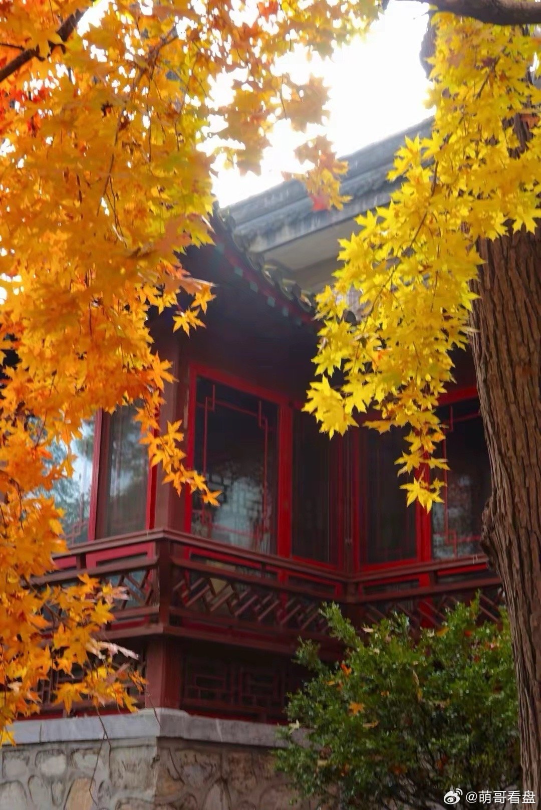 重磅利好！重磅利好！重磅利好！重要的事情说三遍！上周五，村里和财政部联合发布《证