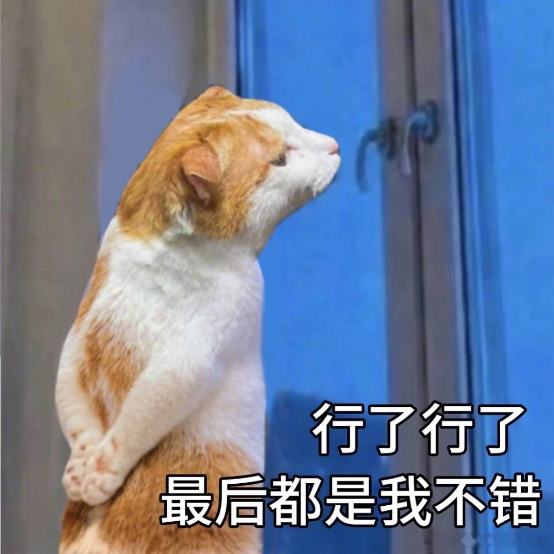 白羊：最怕被冷落，最喜欢随心自在。金牛：最怕被欺骗，最喜欢安稳生活。双子：最怕太