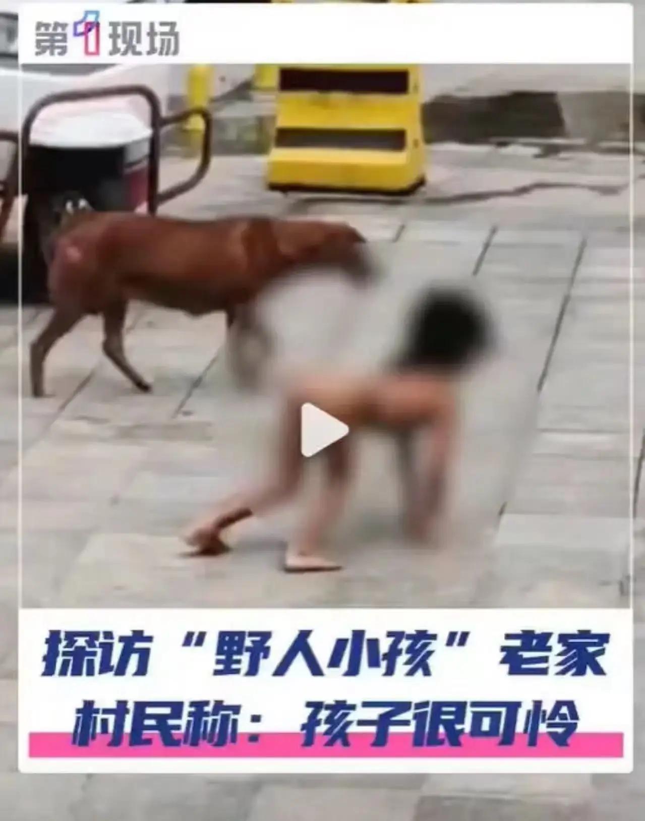 这条新闻一经披露，立刻点燃了无数人的愤怒与担忧。一个被“当作宠物养”的孩子，赤裸
