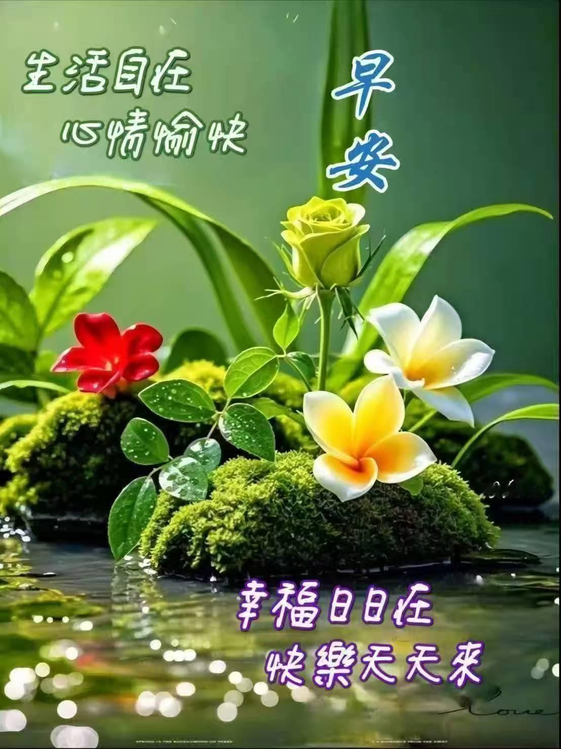 分享图片​​​