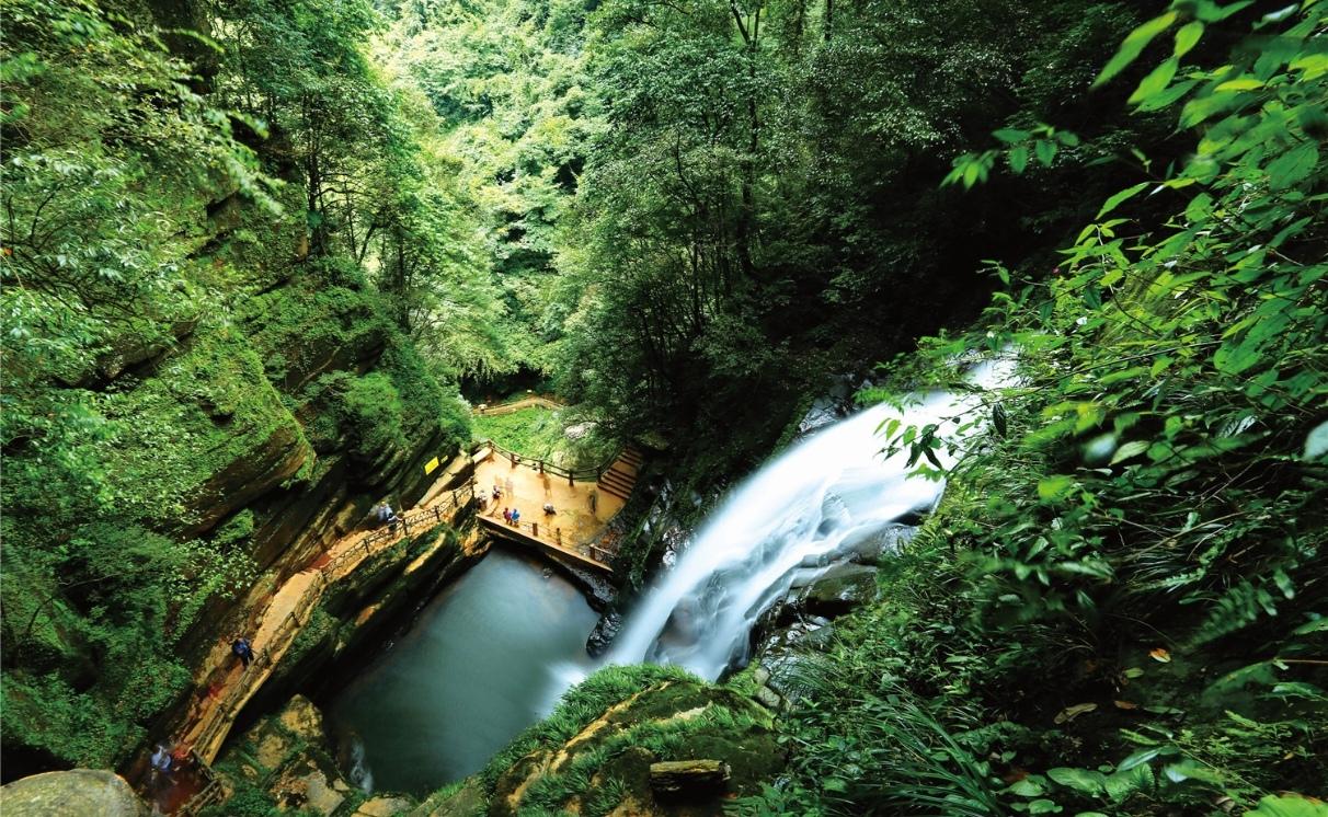 雨城深处的碧峰峡，是被烟雨偏爱天然秘境。清谷纵深连绵，青崖覆满苍藤古木，飞瀑顺