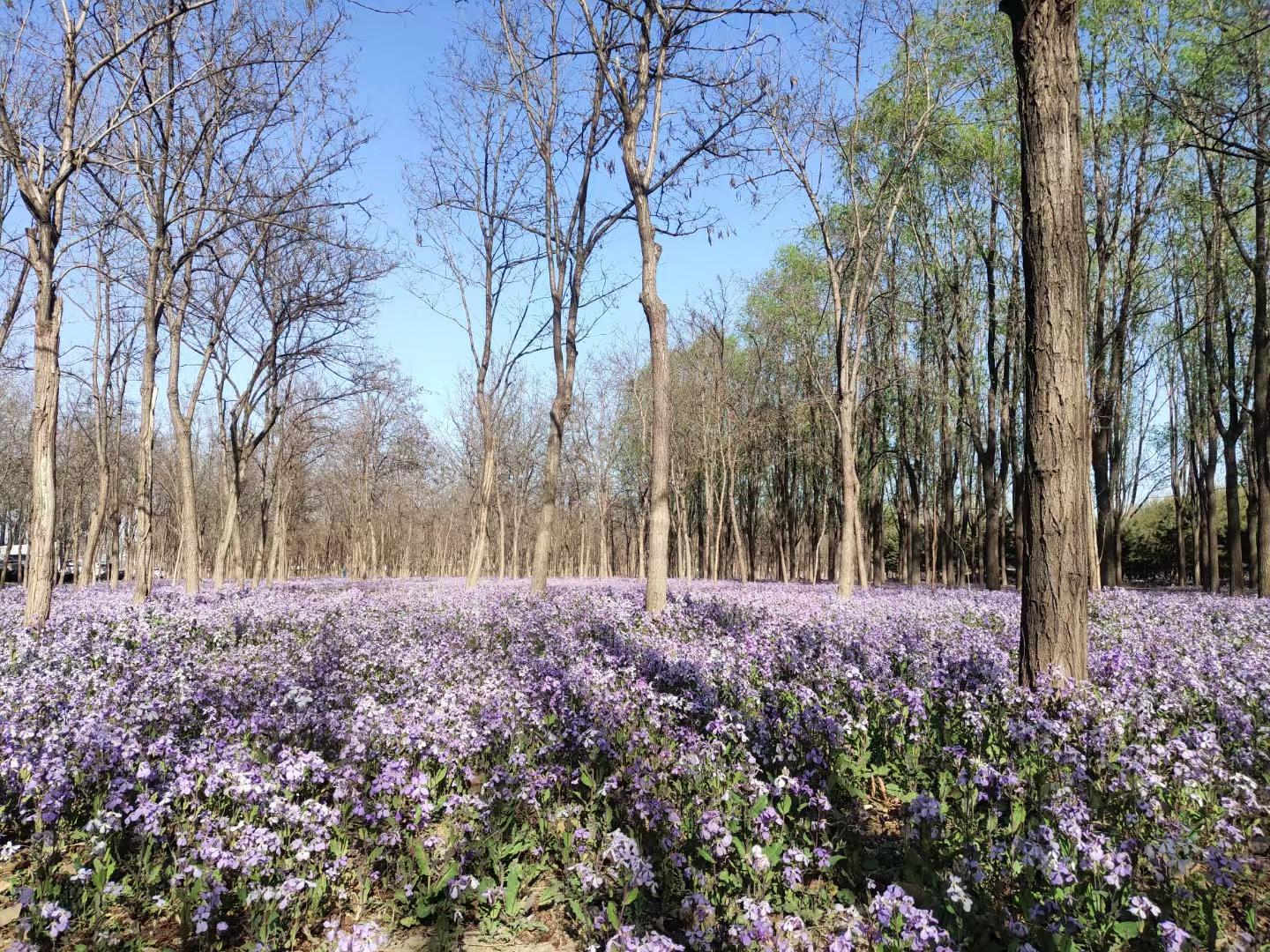 希望你能明白中国 1982年开始，分到田地 1985年开始，开始吃饱饭...