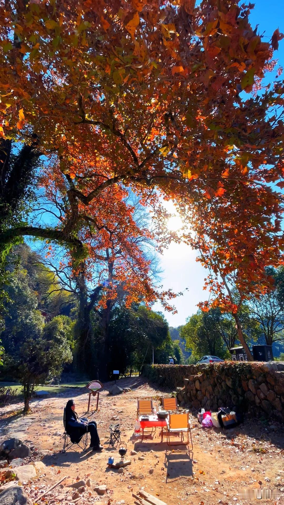 2024年9月25日，妈妈检查出了乳腺癌！特别突然，当时听到这个诊断晴天霹雳，