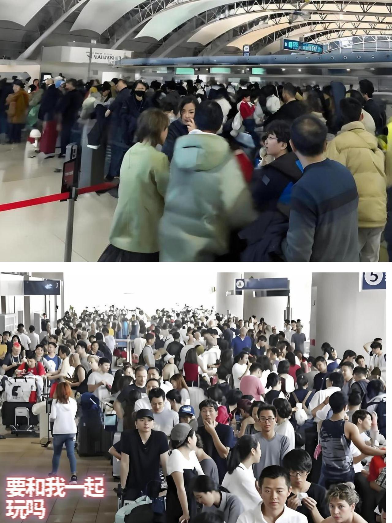 悔不当初！当初执意赴日的那些人，之前那些不听国家提醒，硬要去日本的人，现在想