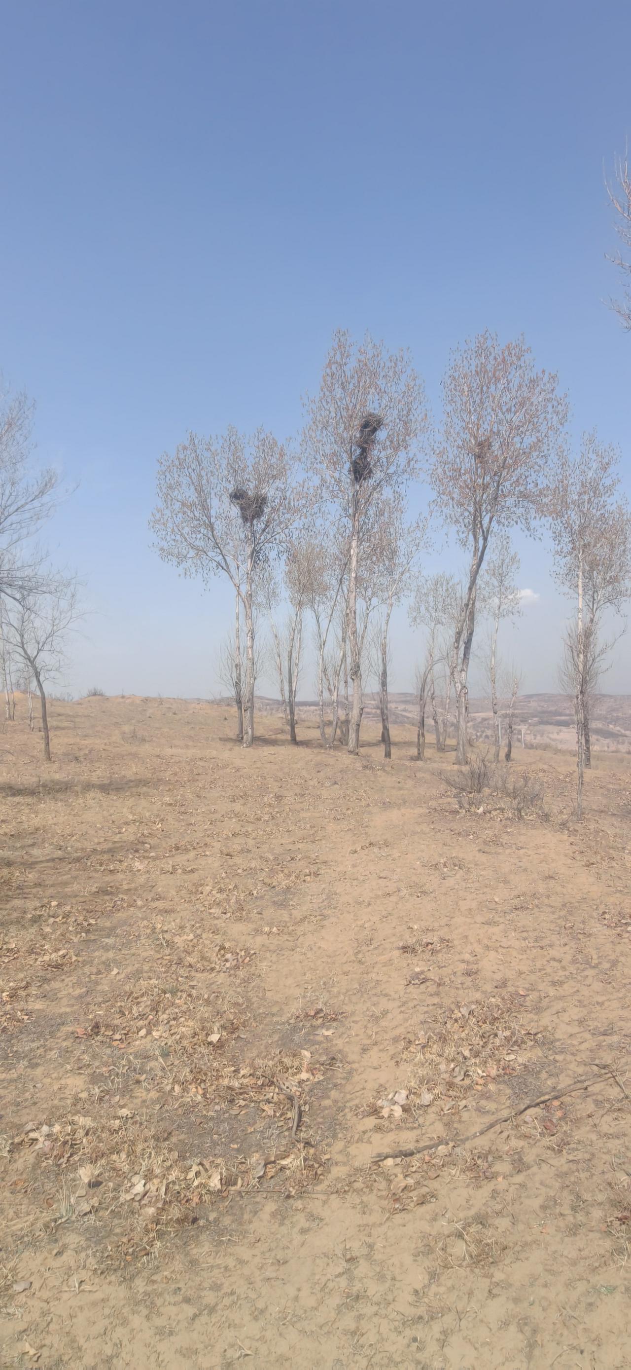 人90％的疾病是可以自愈的。很多人一生病就急于寻医问药，却忽略了身体本身强大的