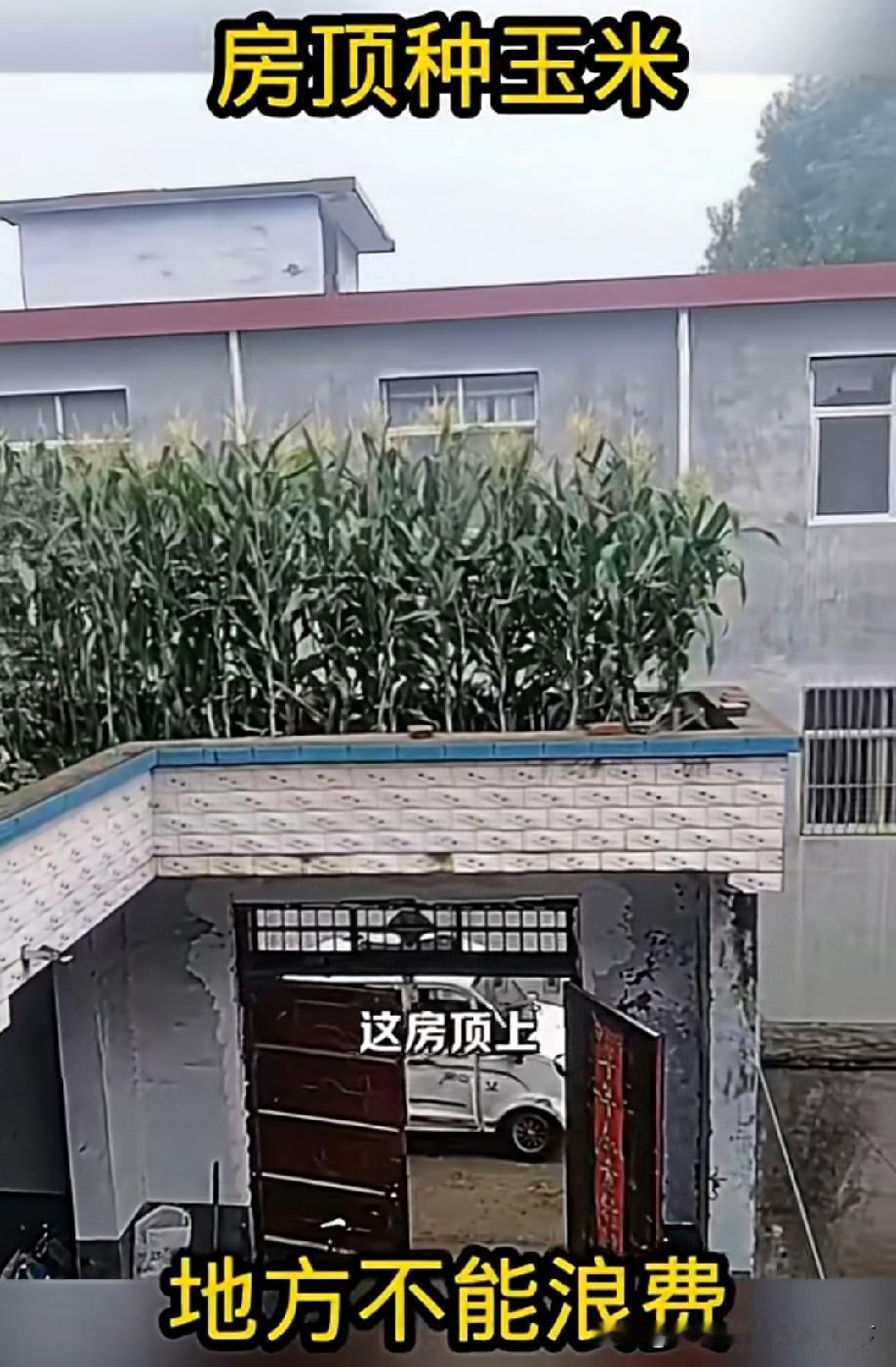 挺会过日子啊[赞]