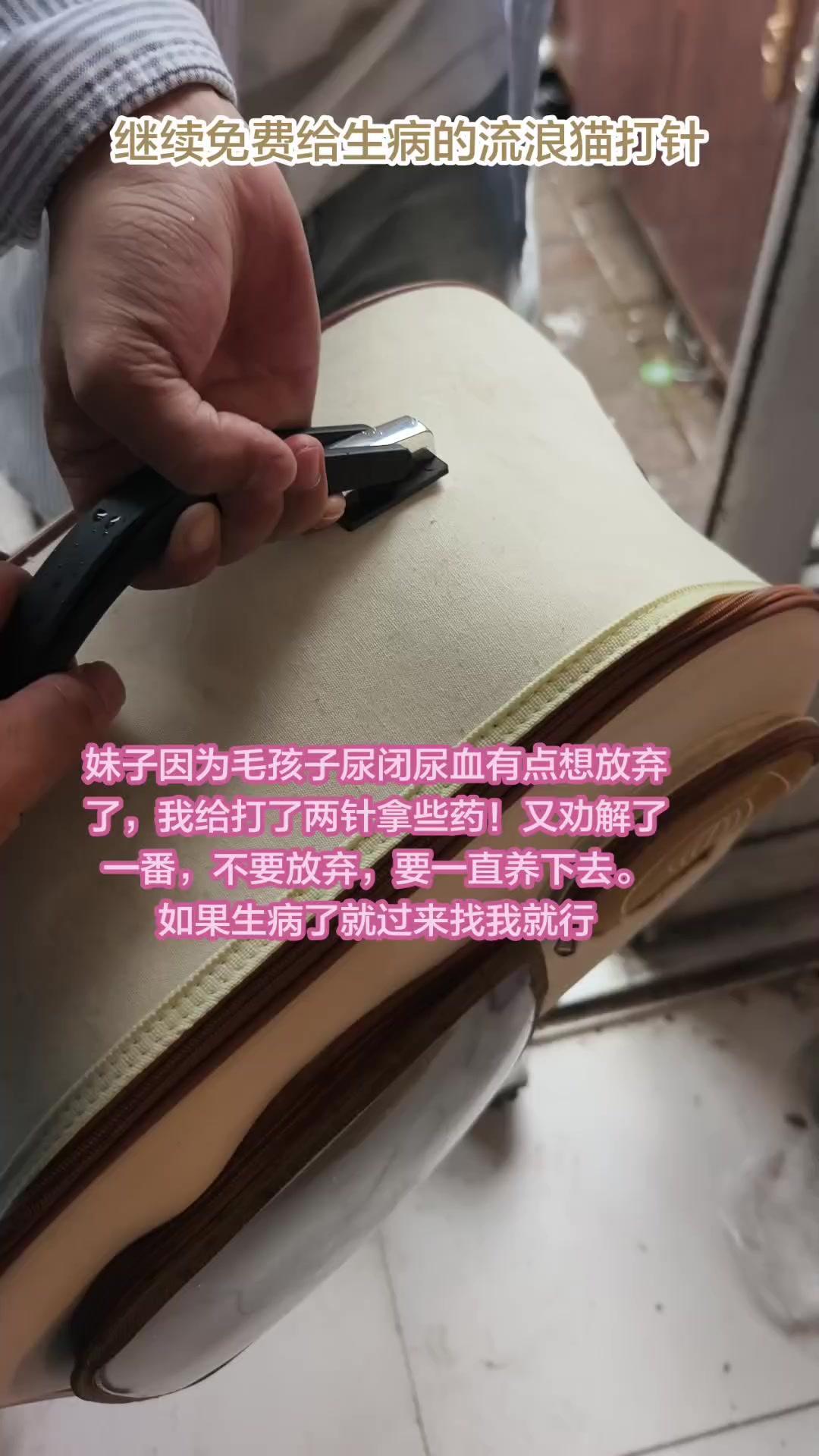 😢妹子捡到的大橘猫尿闭了！1️⃣捡猫经过：地铁口遇到一位大橘猫，当时它非常亲人