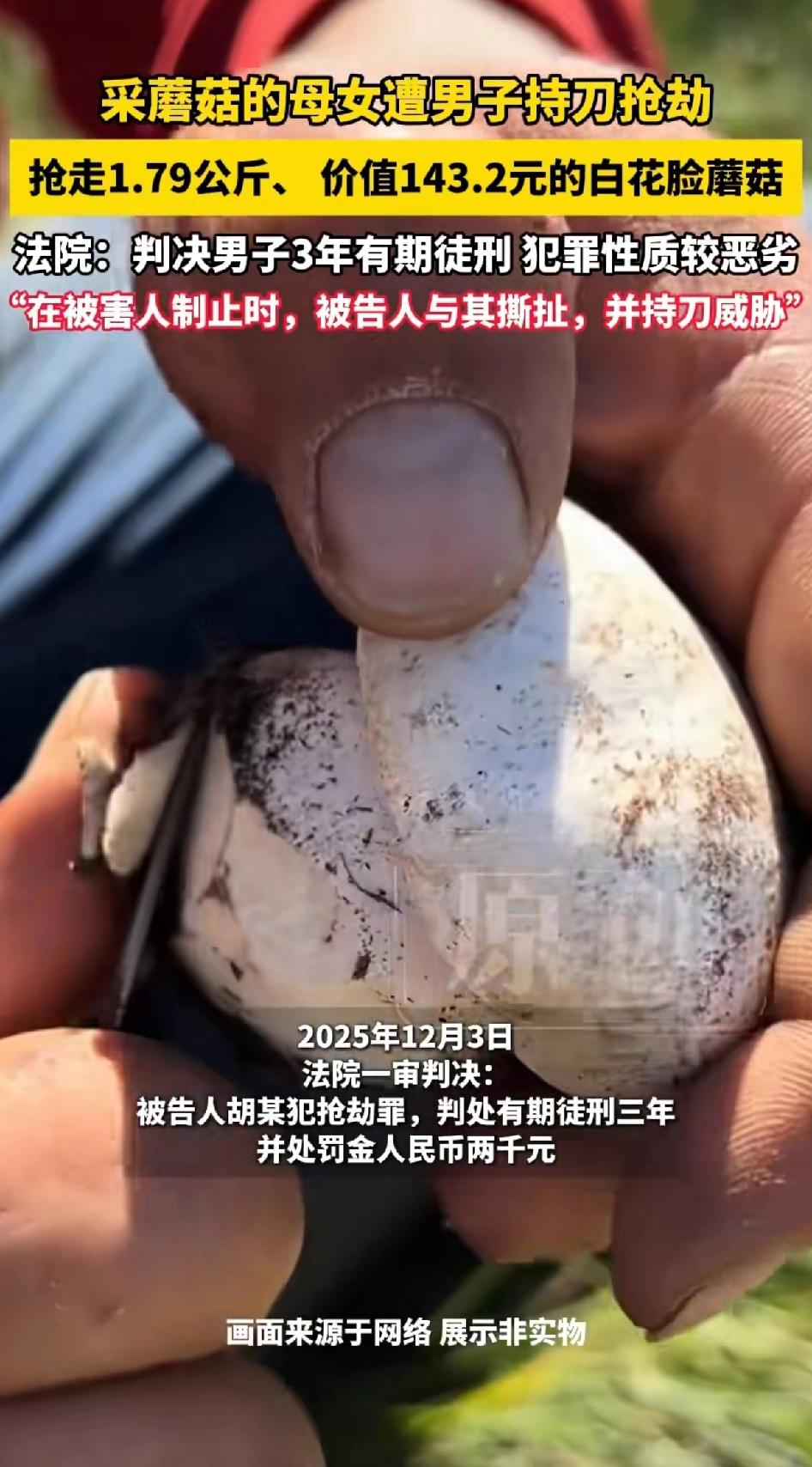 男子抢劫白花脸蘑菇获刑，听过抢劫的，抢手机、抢黄金、抢金钱的，最不济还有影视剧里